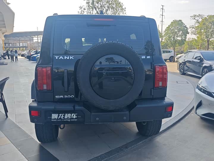 Фото 5 - Tank 300