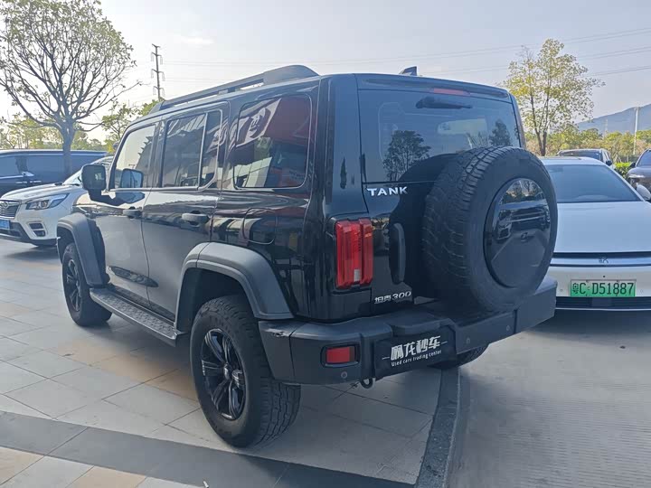 Фото 6 - Tank 300