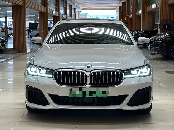 Фото 2 - BMW 5 Series Hybrid