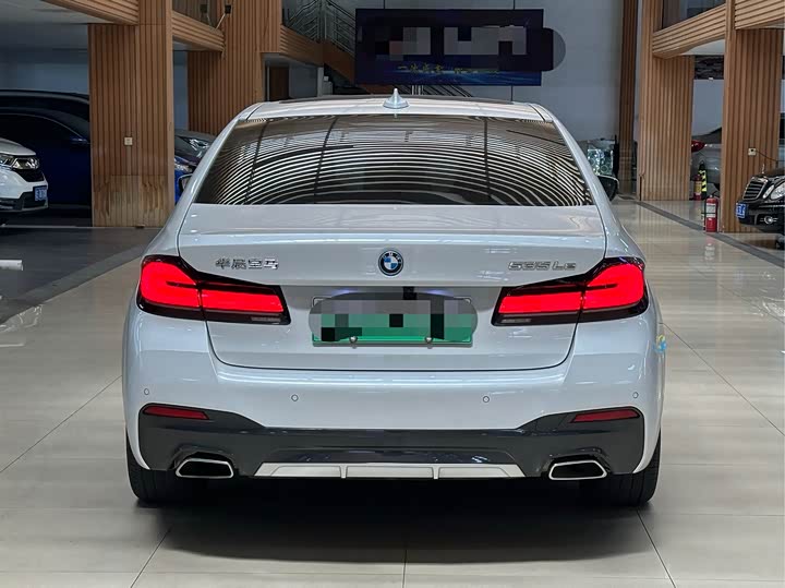 Фото 5 - BMW 5 Series Hybrid