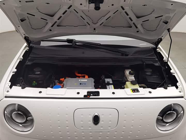 Фото 6 - Ora Black Cat