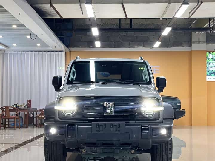 Фото 2 - Tank 300