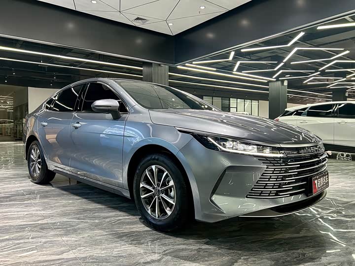 Фото 3 - BYD Destroyer 05