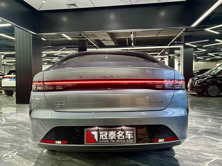 Фото 6 - BYD Destroyer 05