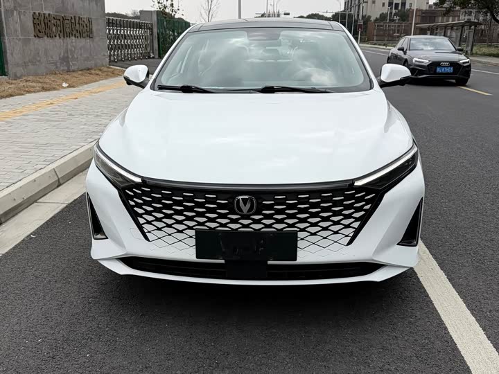 Фото 2 - Changan Raeton Plus