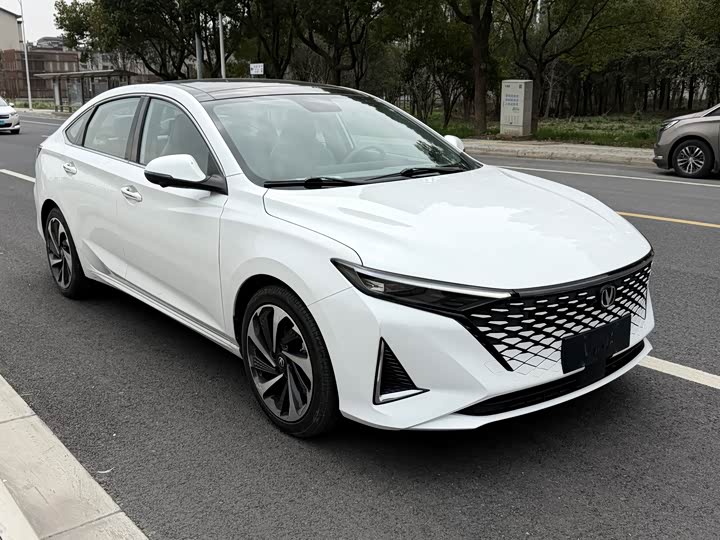 Фото 3 - Changan Raeton Plus