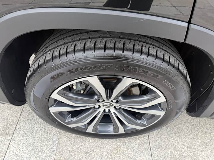 Фото 6 - Lexus RX