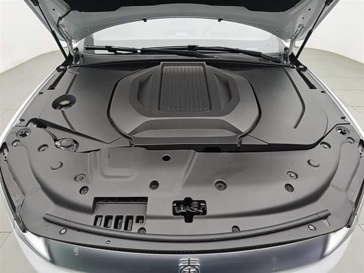 Фото 6 - BYD Qin Plus