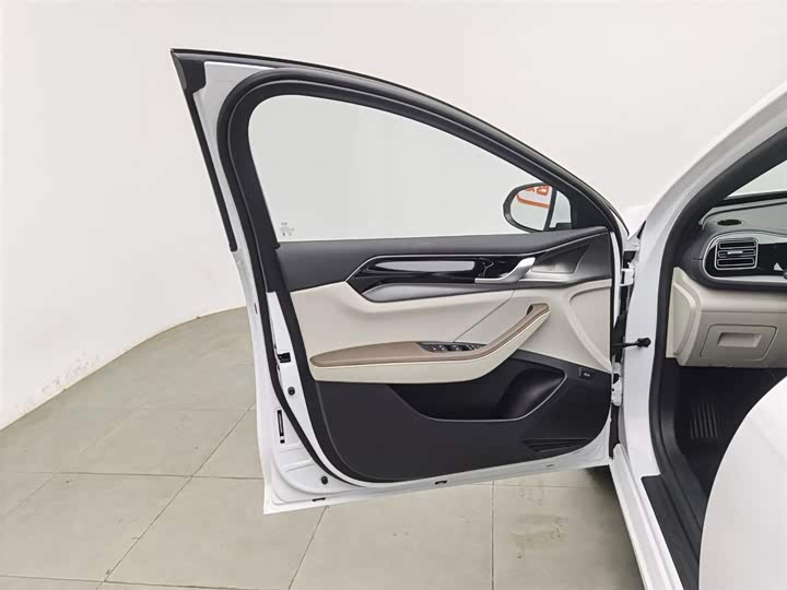 Фото 8 - BYD Qin Plus