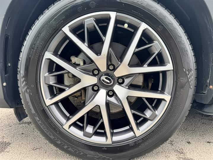 Фото 8 - GAC Trumpchi GS8