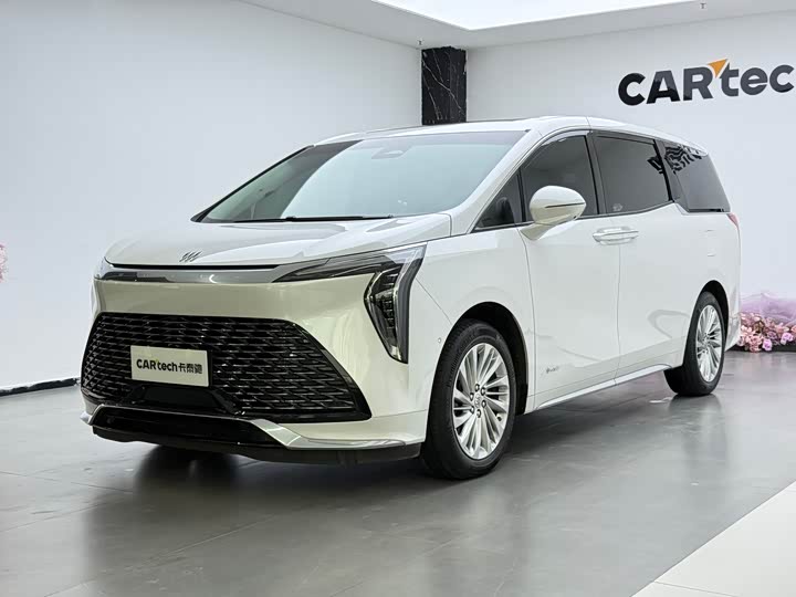 Фото 1 - Buick GL8 Century