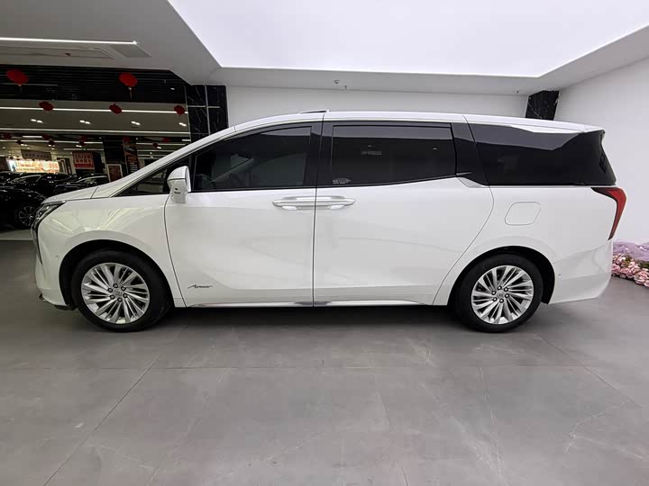 Фото 5 - Buick GL8 Century