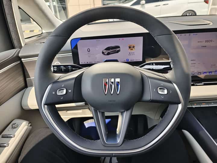 Фото 9 - Buick OMPV