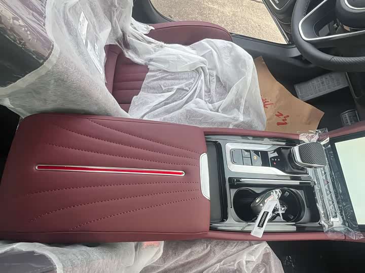 Фото 6 - Hongqi H5