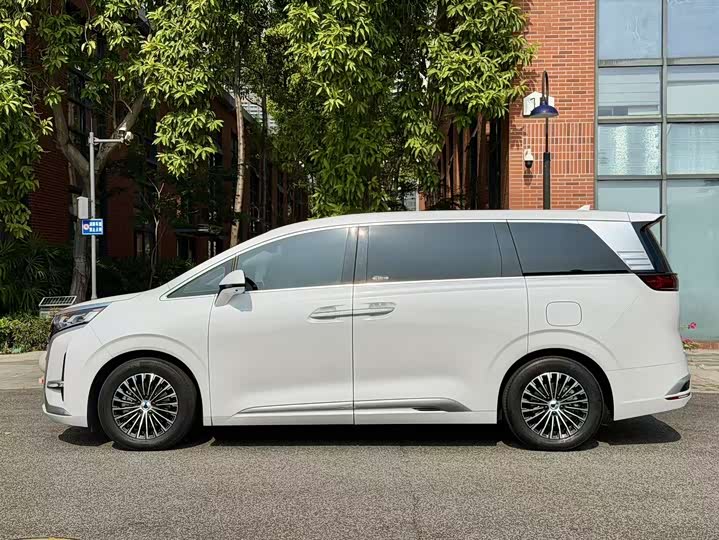 Фото 2 - Denza D9