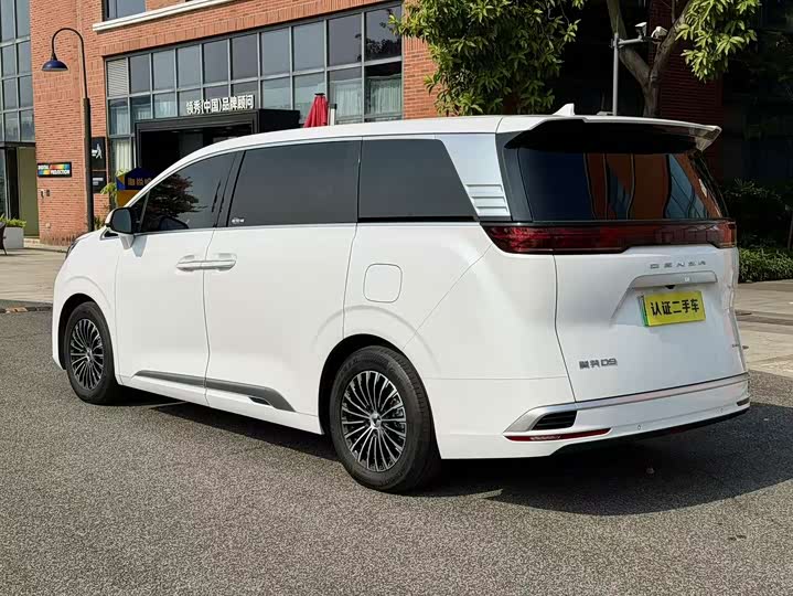 Фото 3 - Denza D9