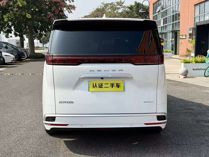 Фото 4 - Denza D9