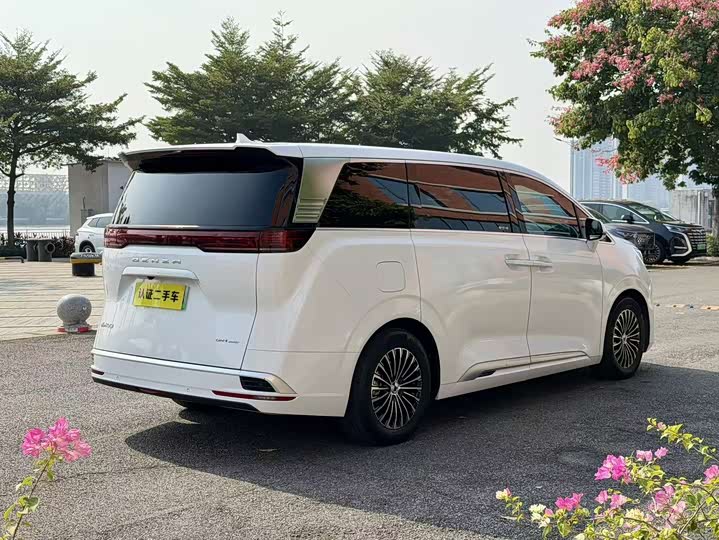 Фото 5 - Denza D9