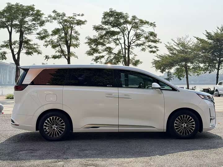 Фото 6 - Denza D9