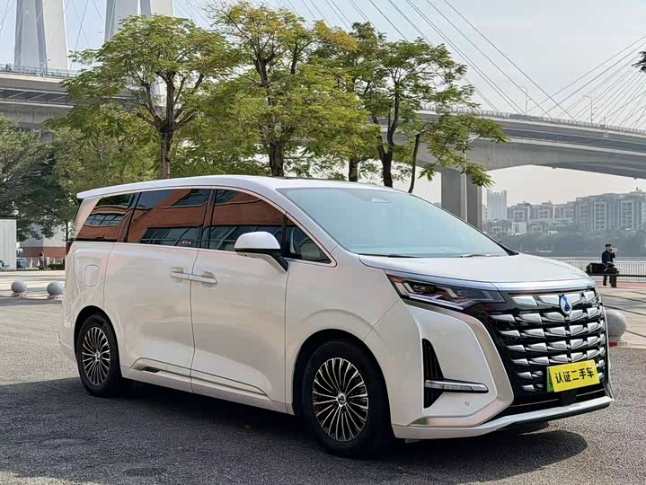 Фото 7 - Denza D9