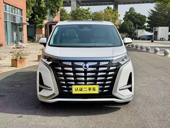 Фото 8 - Denza D9