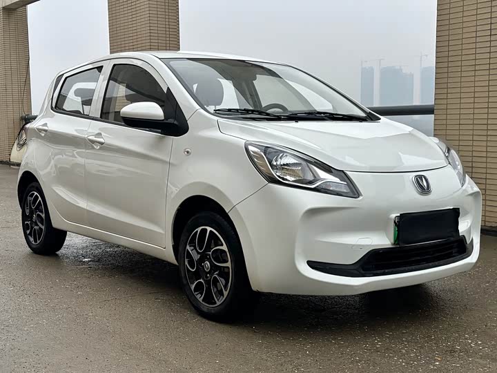Фото 3 - Changan BenBen E-Star