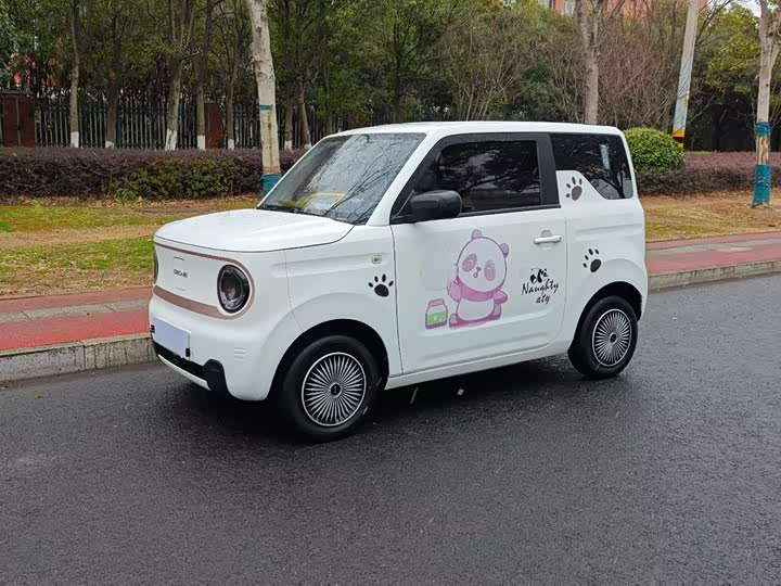Фото 1 - Geely Galaxy Panda Mini
