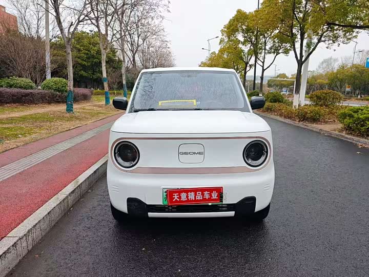 Фото 2 - Geely Galaxy Panda Mini