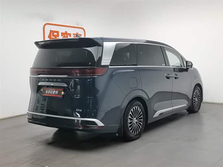 Фото 2 - Denza D9