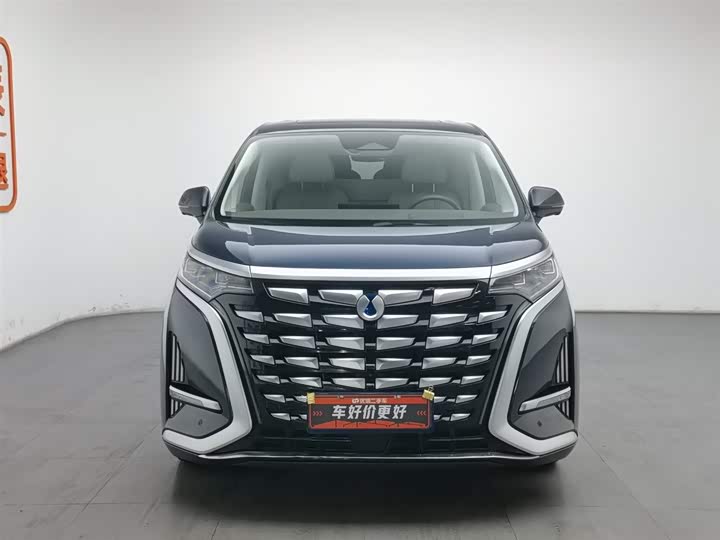 Фото 3 - Denza D9