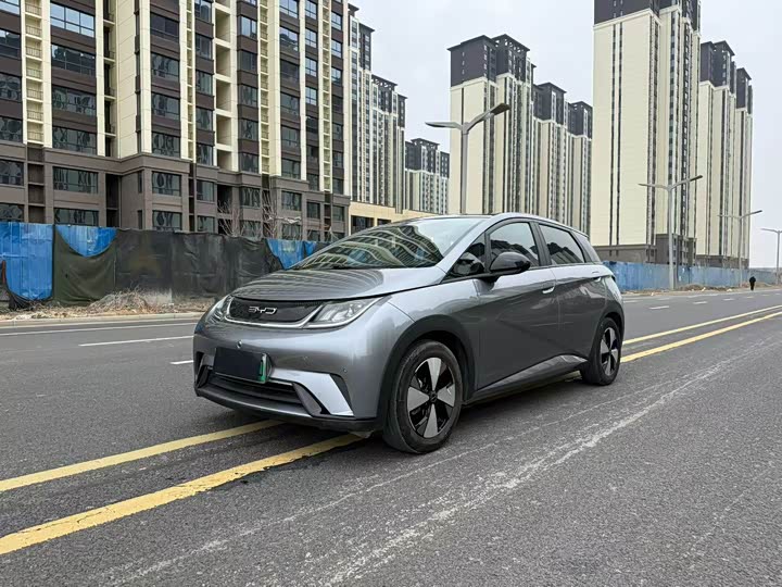 Фото 1 - BYD Dolphin