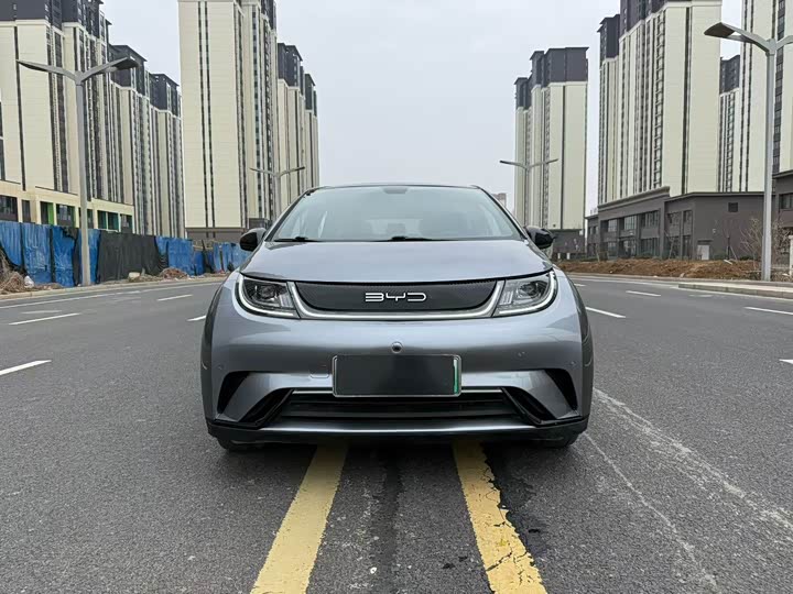 Фото 2 - BYD Dolphin