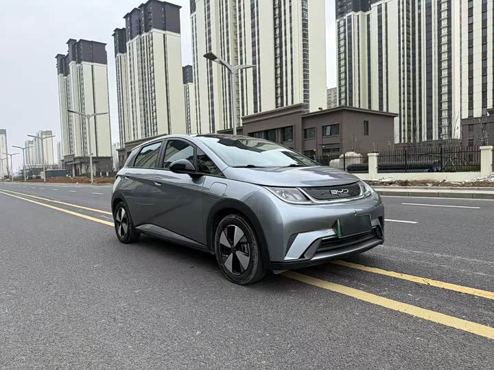 Фото 3 - BYD Dolphin