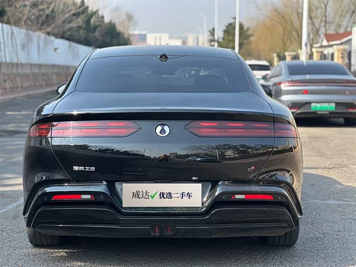 Фото 5 - Denza Z9