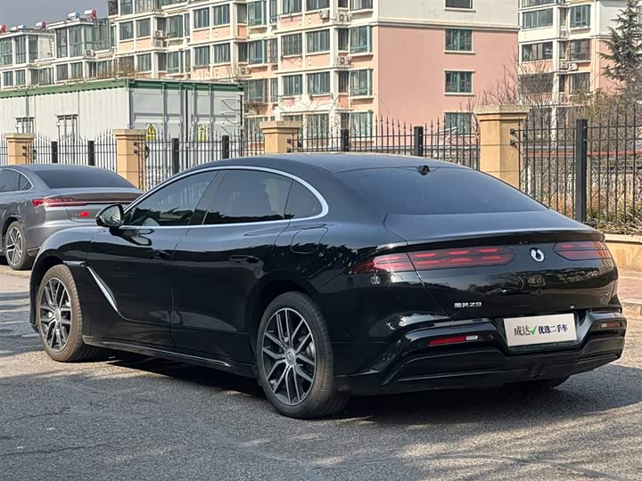 Фото 6 - Denza Z9