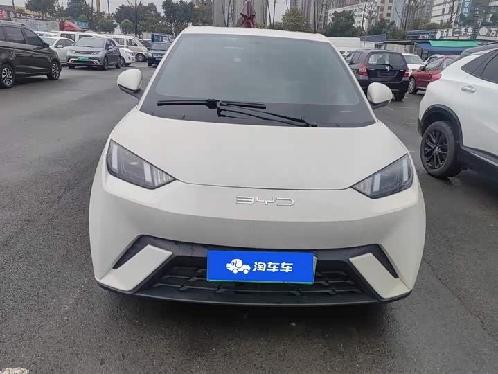 Фото 2 - BYD Seagull