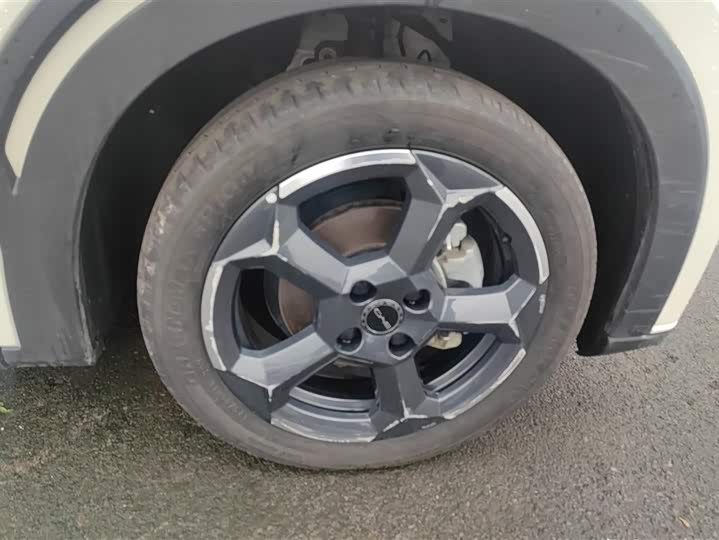 Фото 6 - BYD Seagull