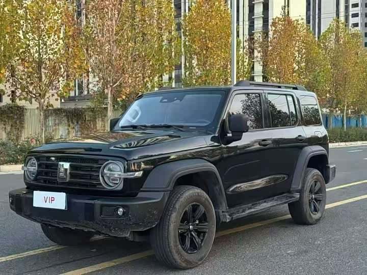 Фото 1 - Tank 300