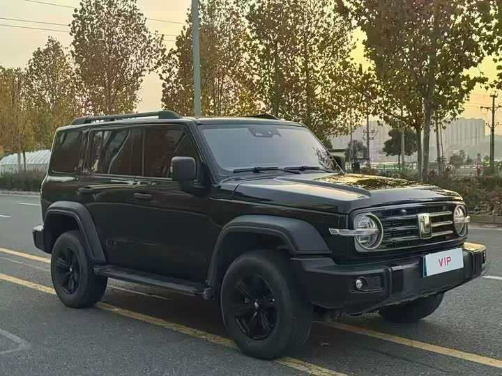 Фото 3 - Tank 300