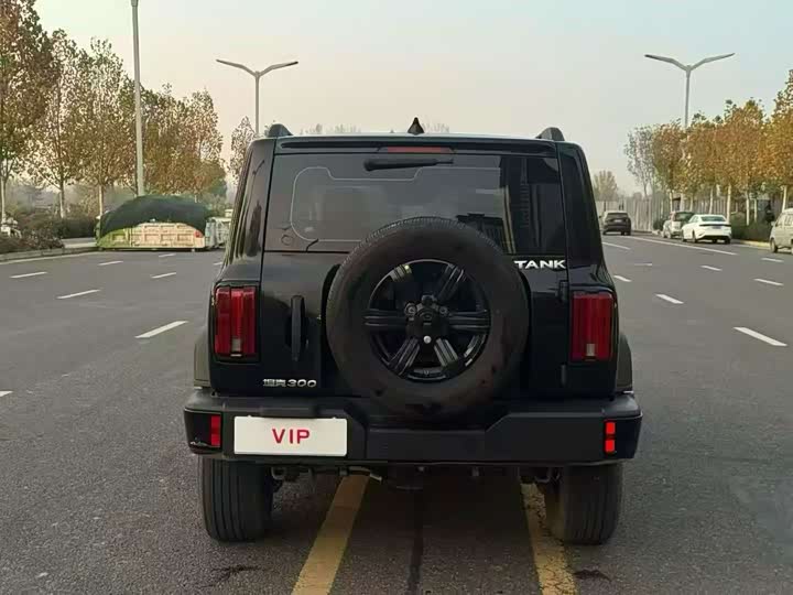 Фото 8 - Tank 300