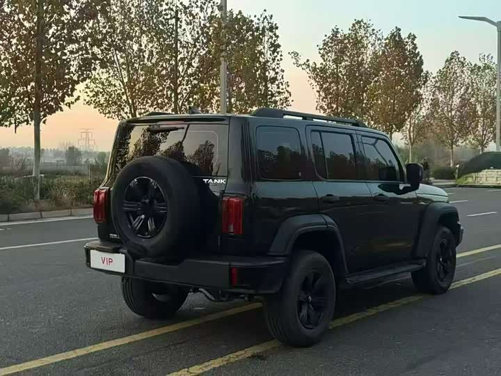 Фото 9 - Tank 300