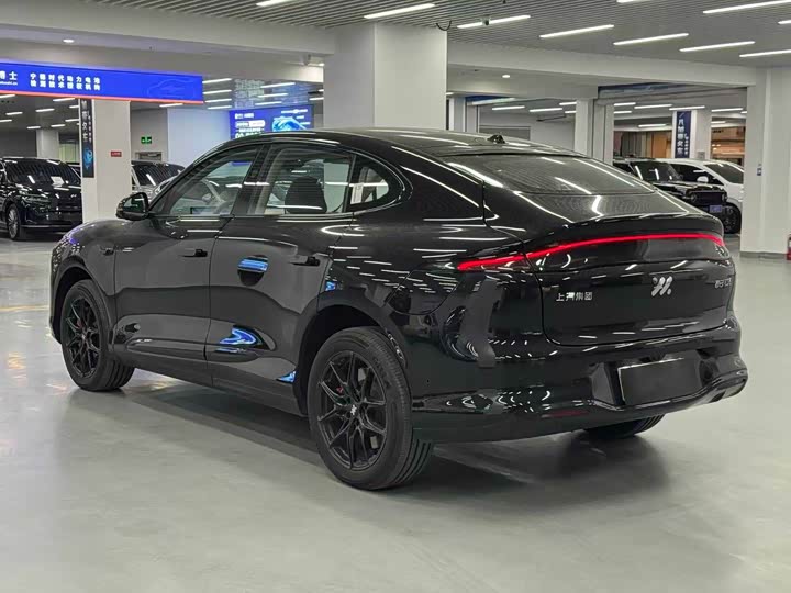 Фото 9 - IM motors LS6