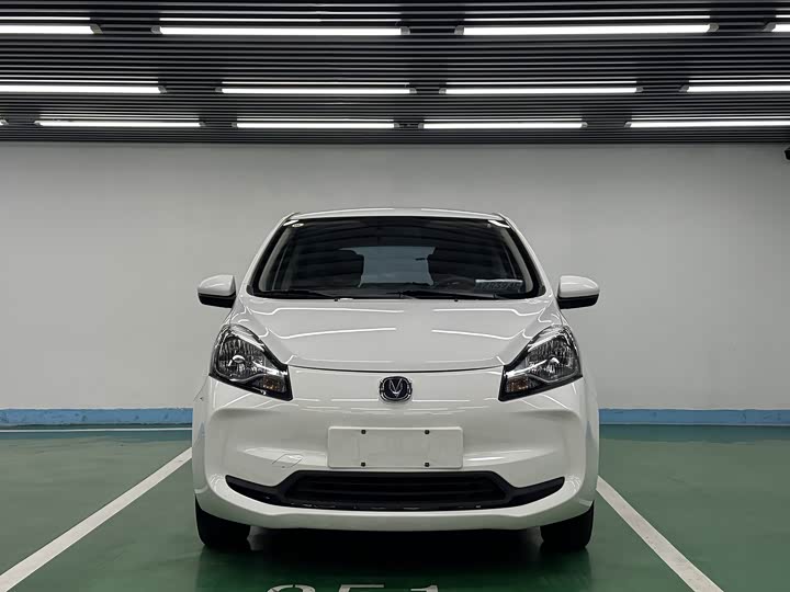 Фото 2 - Changan BenBen E-Star