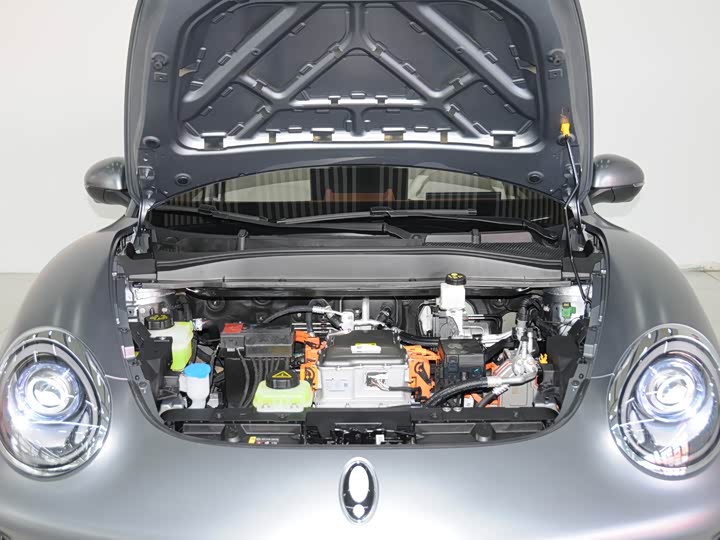 Photo 6 - Ora Good Cat (03)