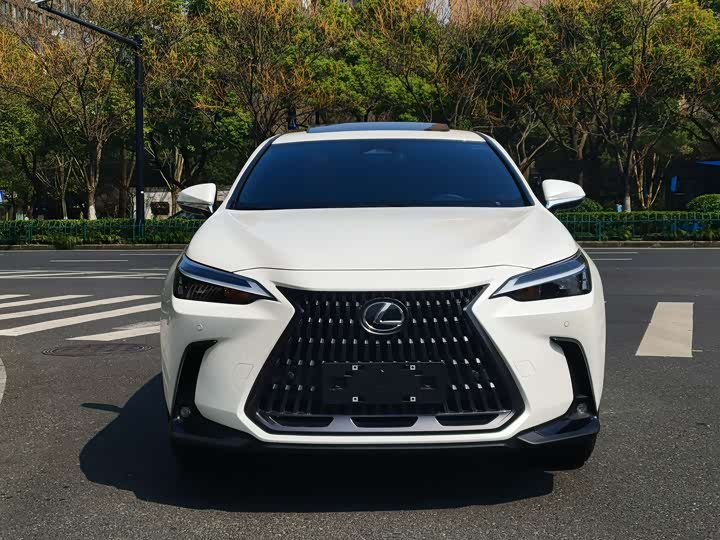Photo 1 - Lexus NX