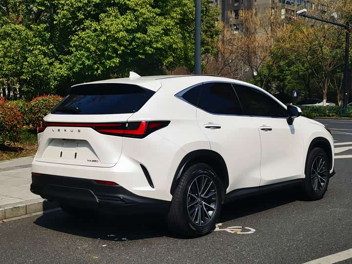 Photo 5 - Lexus NX