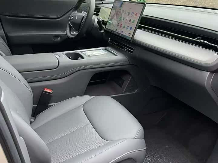 Фото 6 - XPeng G6