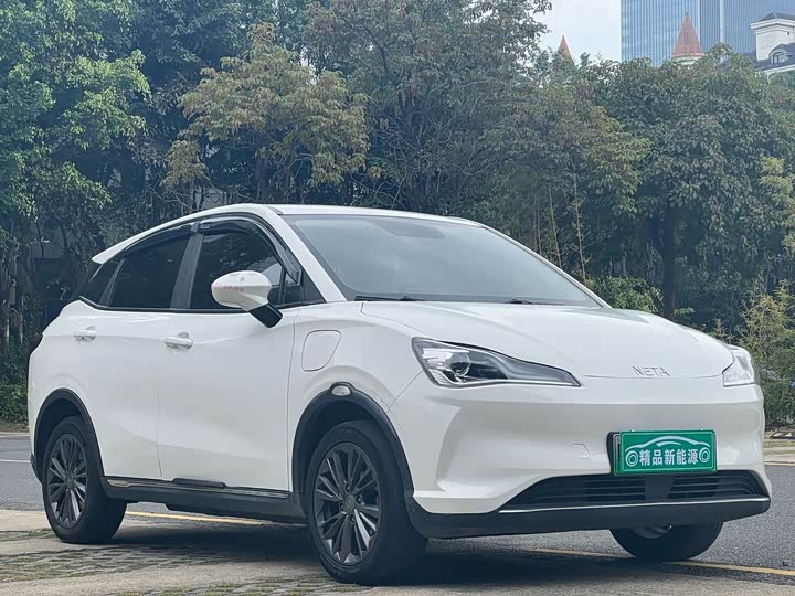 Фото 3 - Hozon V