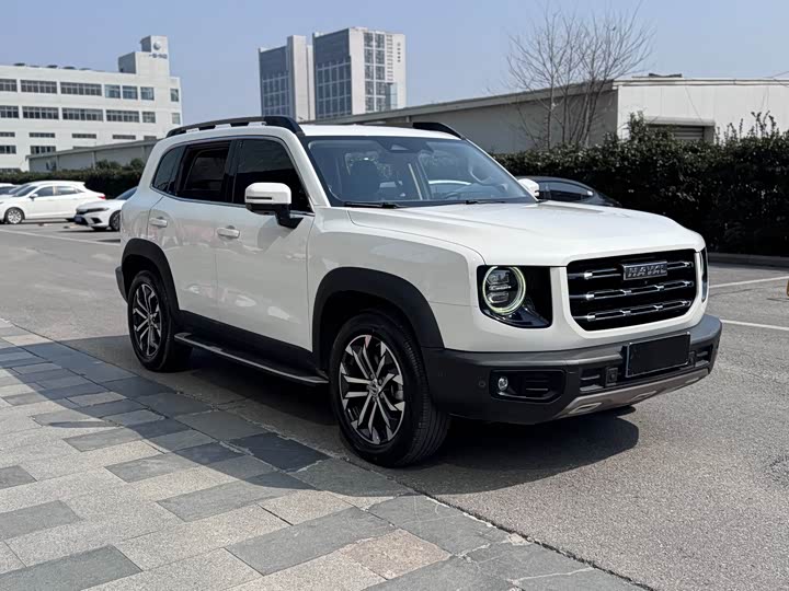 Фото 3 - Haval Dargo