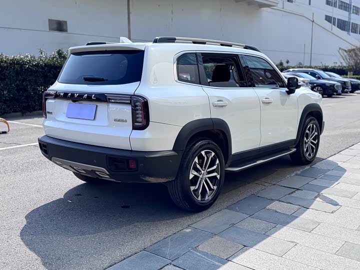 Фото 4 - Haval Dargo